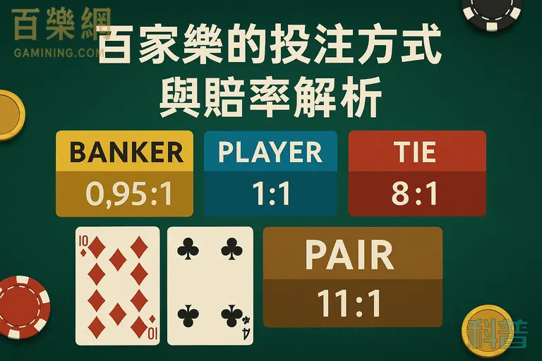 百樂網-百家樂的投注方式與賠率解析-百家樂科普-gamining.com
